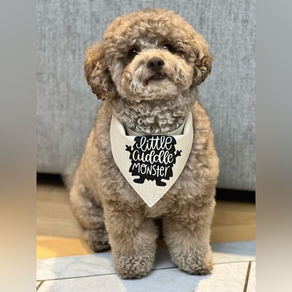 Little cuddle monster graphic bandana size medium - Picture 1 of 3